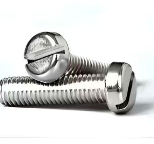 Slotted screw
