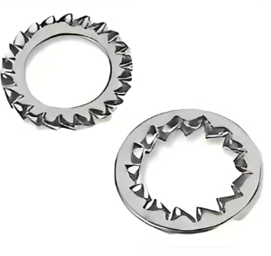 External/Internal Serrated Lock Washer